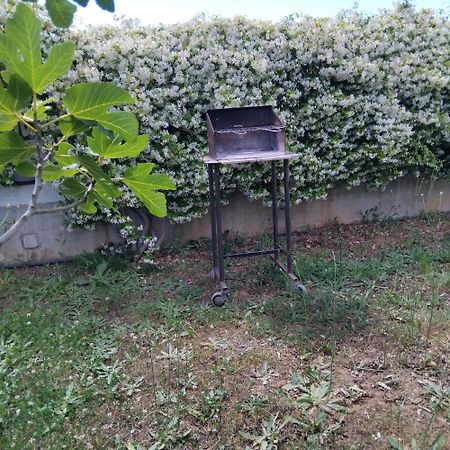 Appartamento In Seminterrato Zannone サバウディア エクステリア 写真